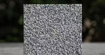 泸州 芝麻黑荔枝面