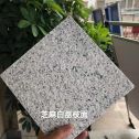 泸州 芝麻白荔枝面干挂