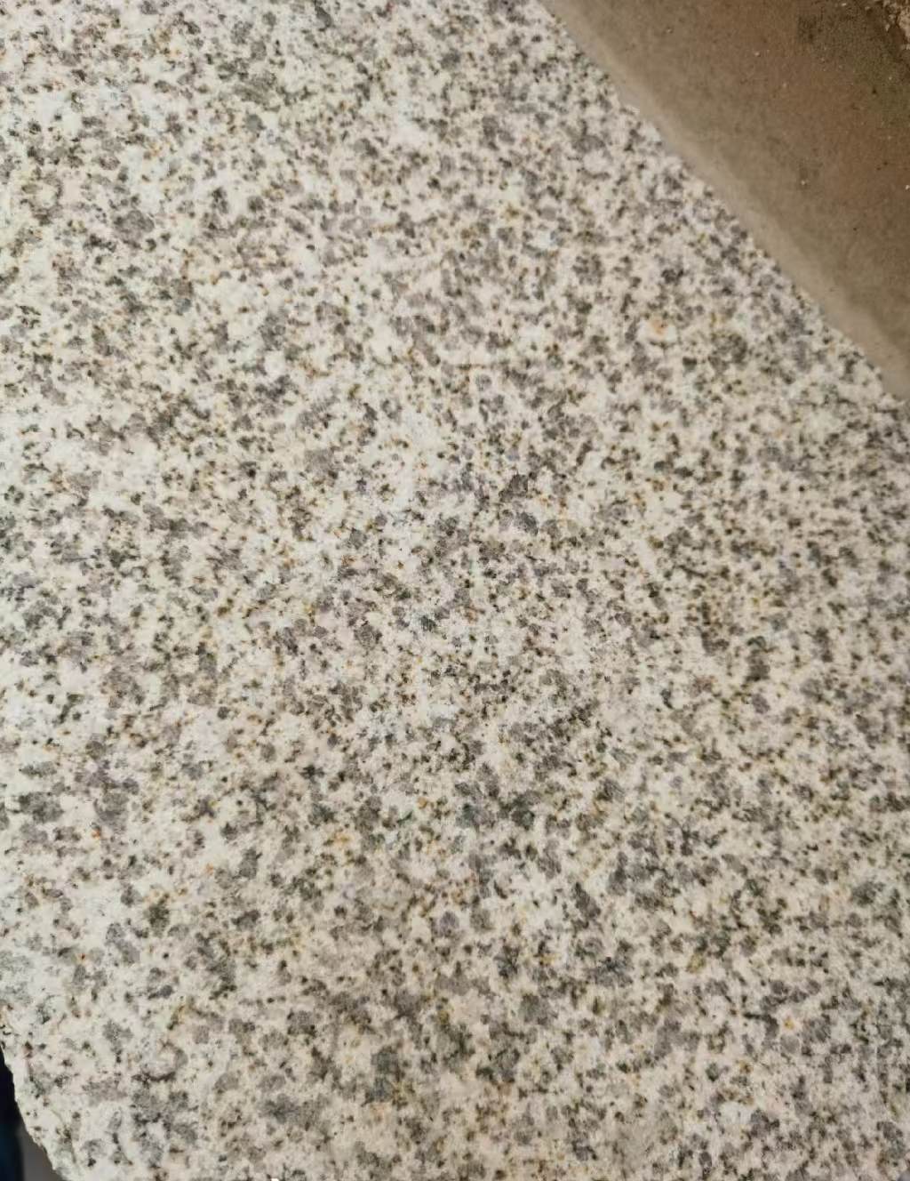 泸州 黄金麻中黄光面