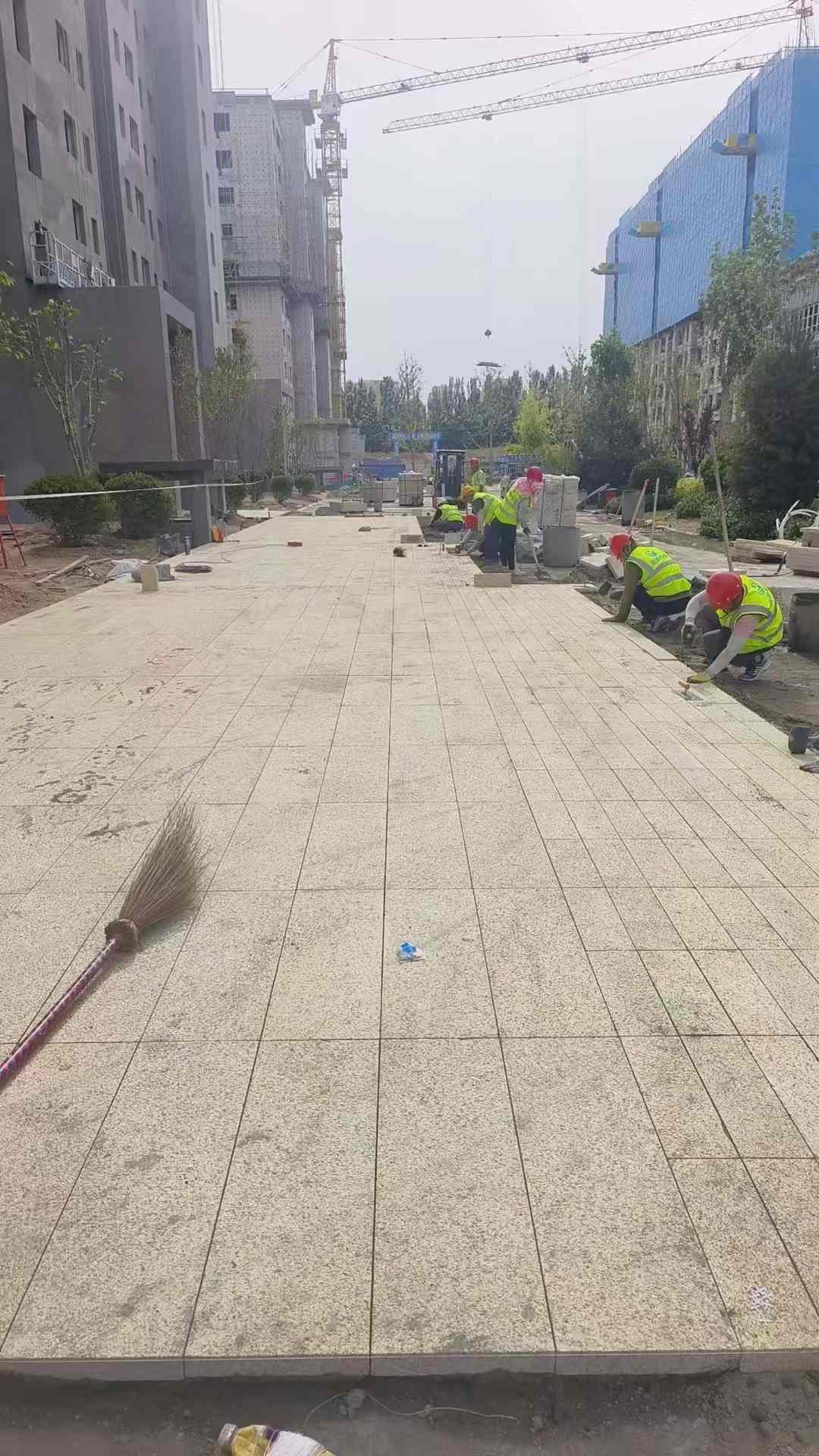 泸州黄金麻荔枝面地铺案例