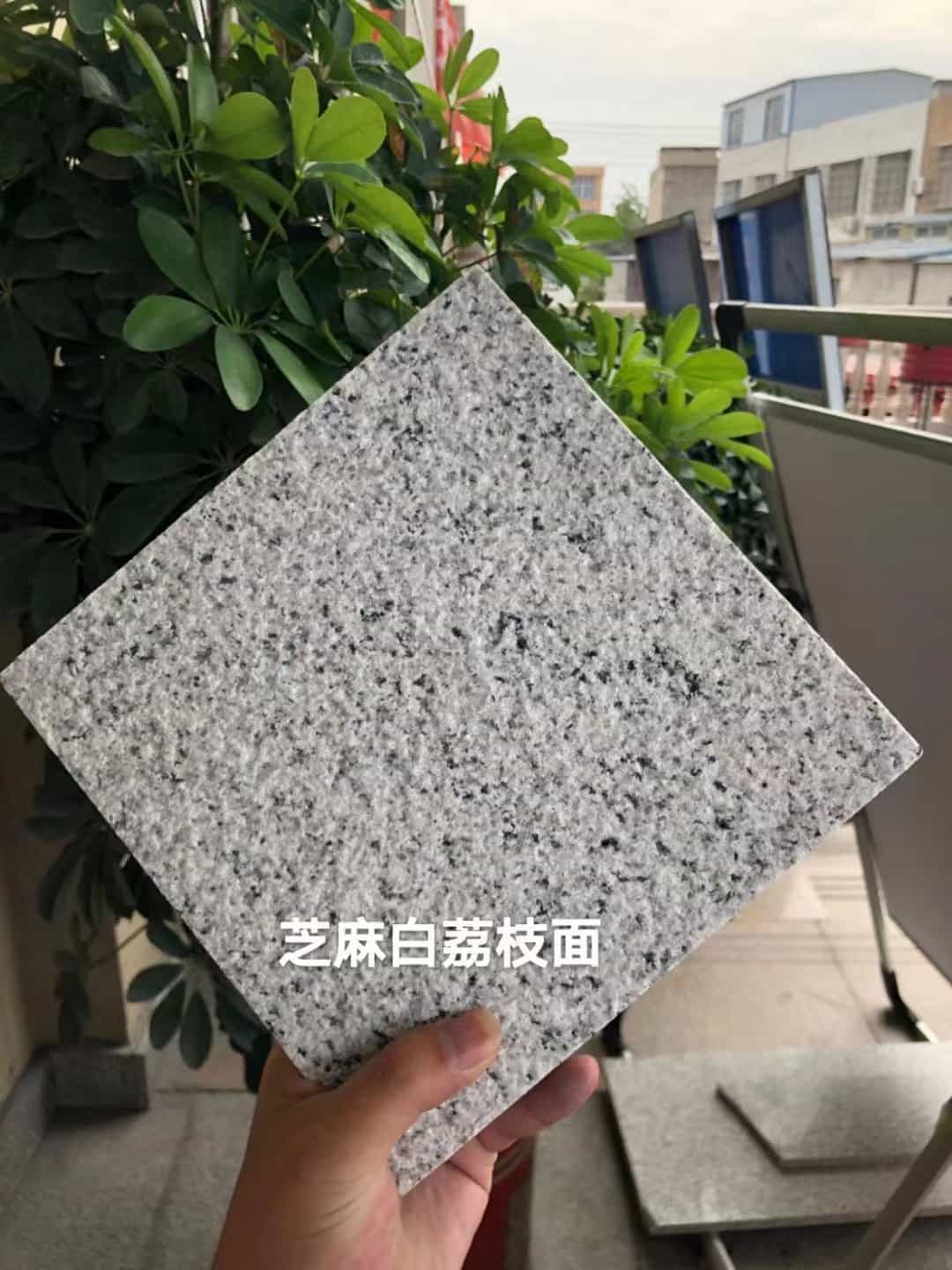 泸州 芝麻白荔枝面干挂