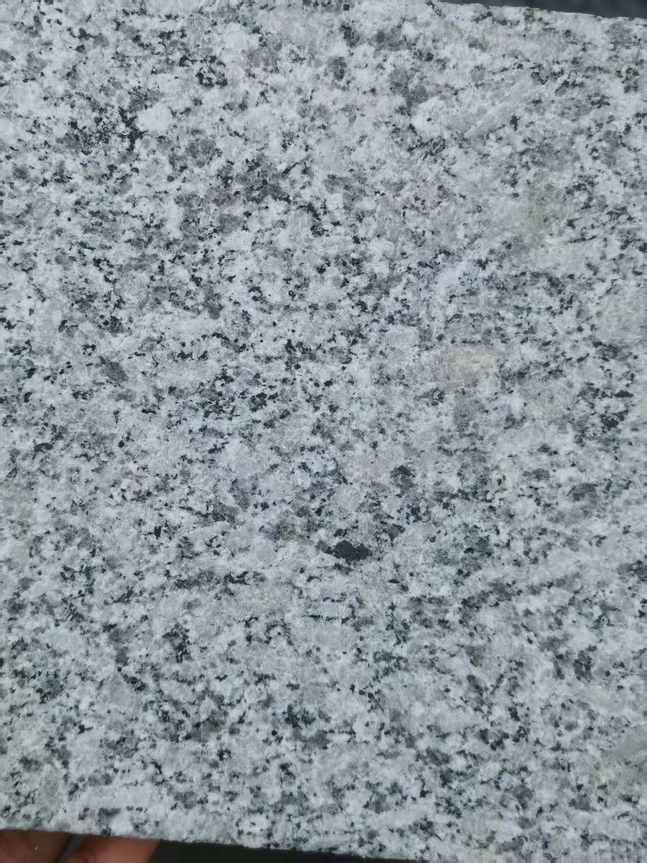 泸州 芙蓉白火烧面